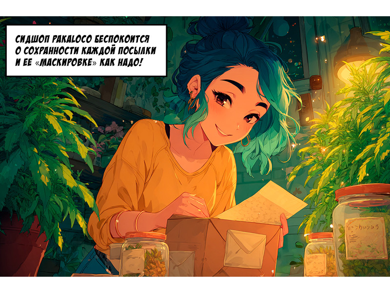 Оплата, безопасность, доставка